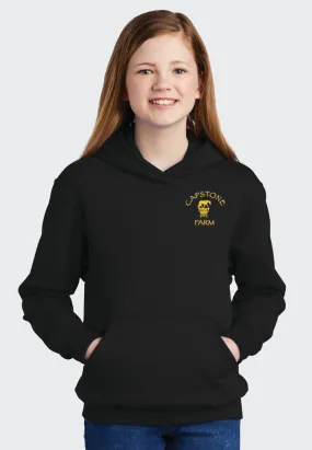 Capstone Farm Port & Company Youth Core Fleece Pullover Hooded Sweatshirt